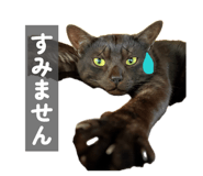 860284270