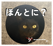 860284295