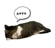 860325247