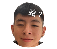 860325290