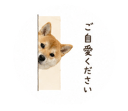 860325435