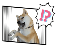860325445