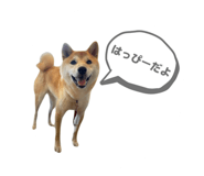 860325448