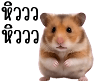 860325462