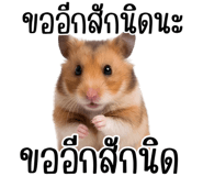 860325487