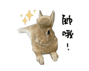 860326791