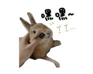 860326796