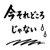 860329355