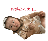 860344814