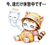 860345116