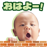860367273