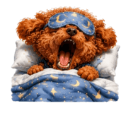 860391293
