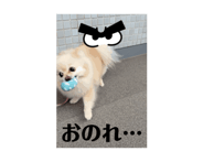 860391805