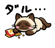 860392553