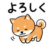 860392642