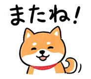860392664