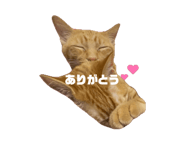 860392762