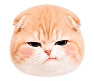 860392978