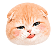 860392981