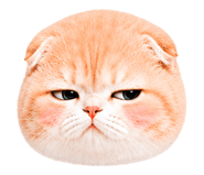 860392995