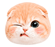 860392998