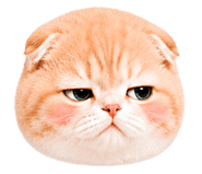 860393007