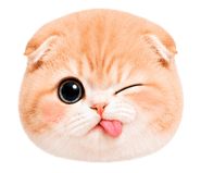 860393010