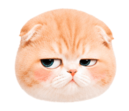 860393011