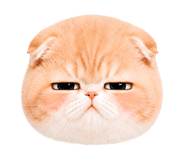 860393013