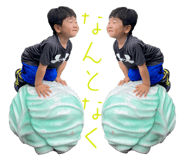 860408198