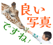 860408218