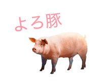 860410578