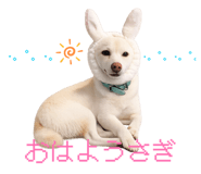 860411676