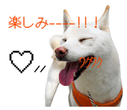 860411679