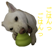 860411681