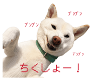860411684