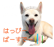 860411686