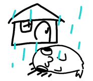 860411828