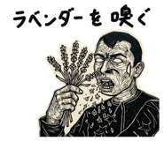 860412641