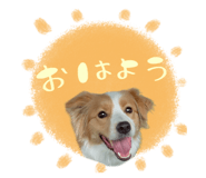 860413137