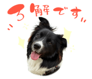 860413141