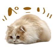860413145