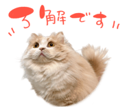 860413151
