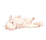 860419204