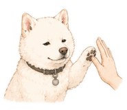 860419235