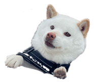 860419282
