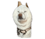860419294