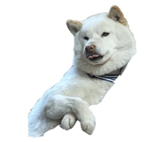 860419314