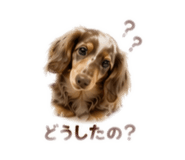 860419478