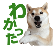 860419579